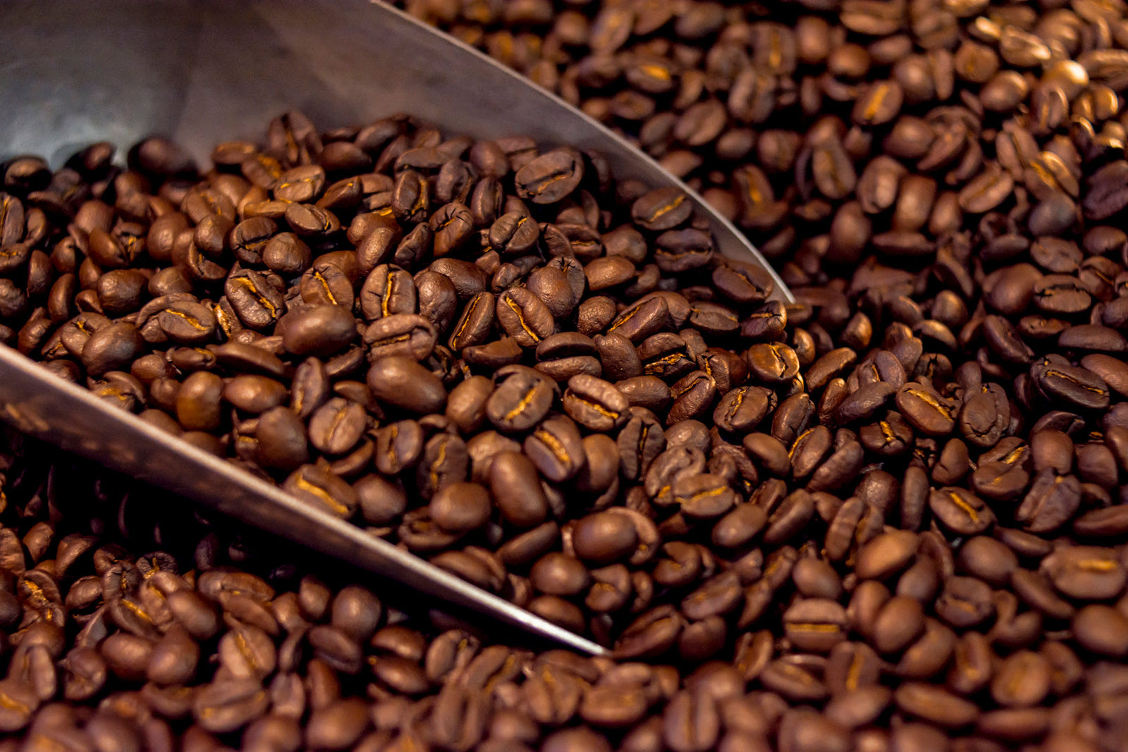 I want my beans roasted. What next?