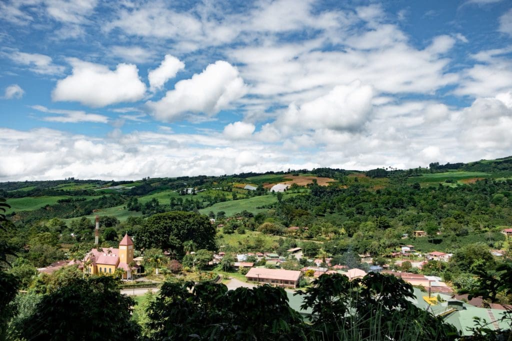 Roasted - Costa Rica Grand Peaberry (Coffee of the Week)