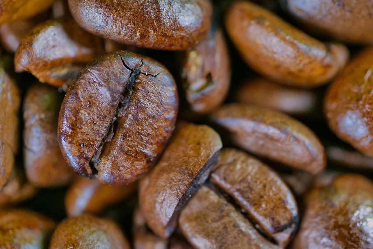 Roasted - Brazilian Pulped Natural (Coffee of the Week)