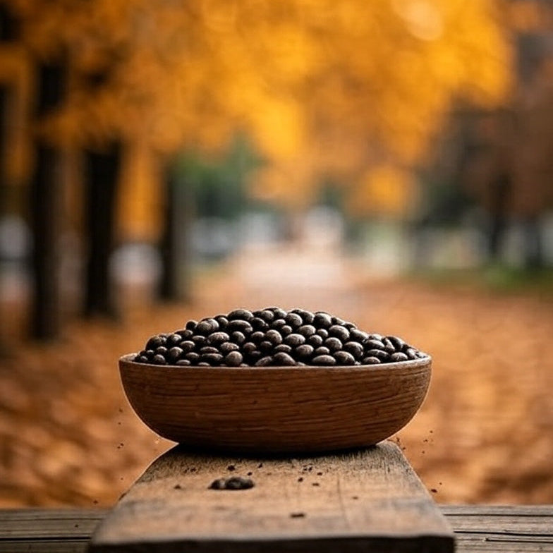 Roasted - Harvest Gold (Coffee of the Week)