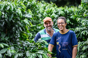 Roasted - “Jeweled Blossom” - Brazil Natural (Coffee of the Week)