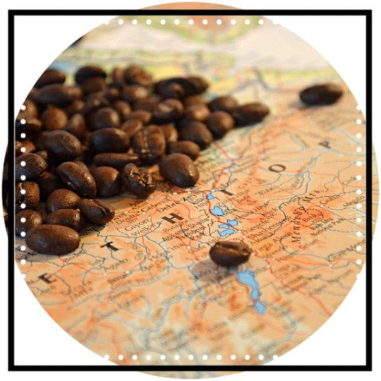Roasted - Ethiopian Guji (Coffee of the Week)