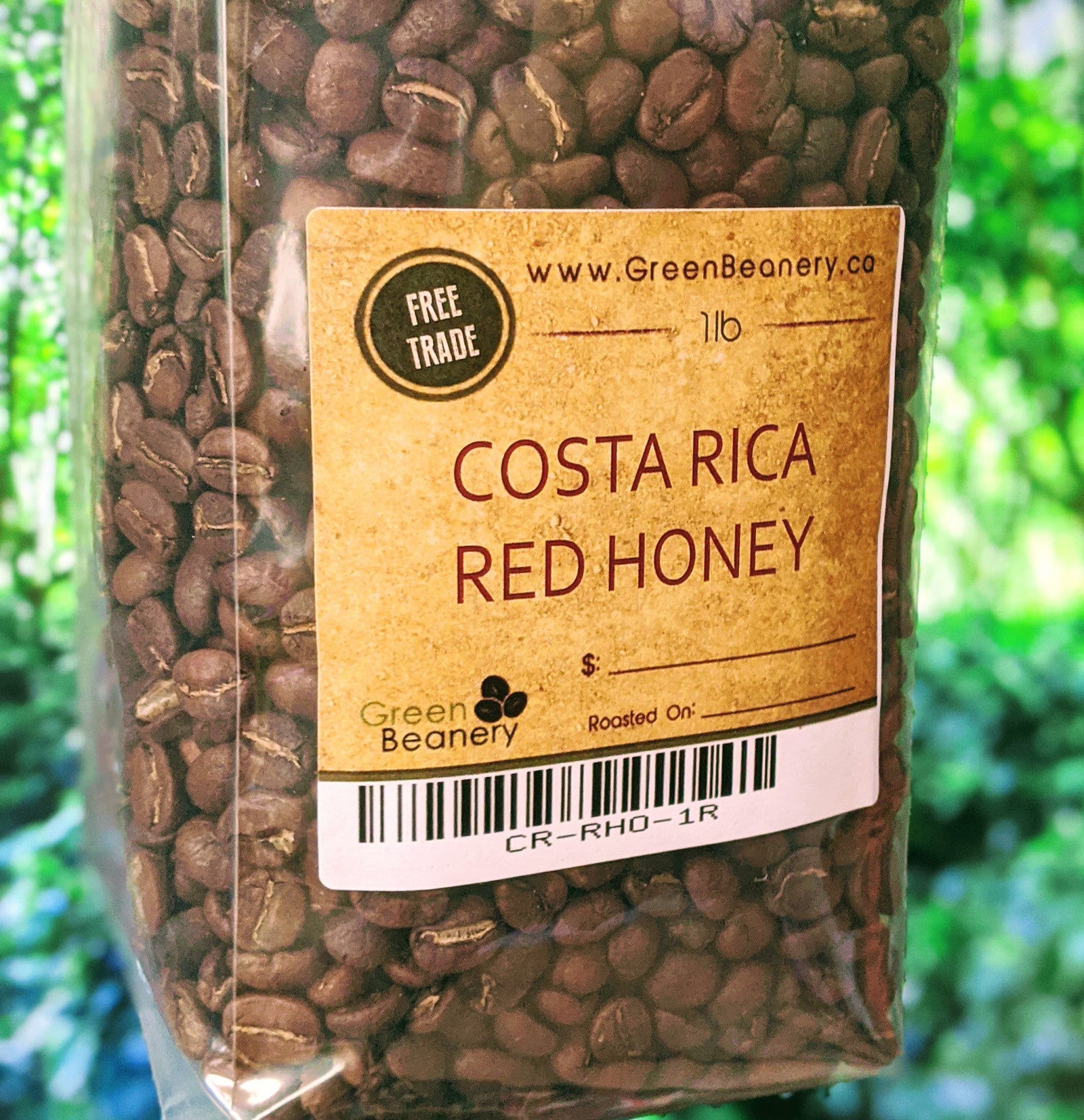 Roasted - Costa Rica Red Honey (Coffee of the Week)