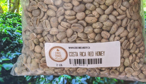 Unroasted - Costa Rica Red Honey