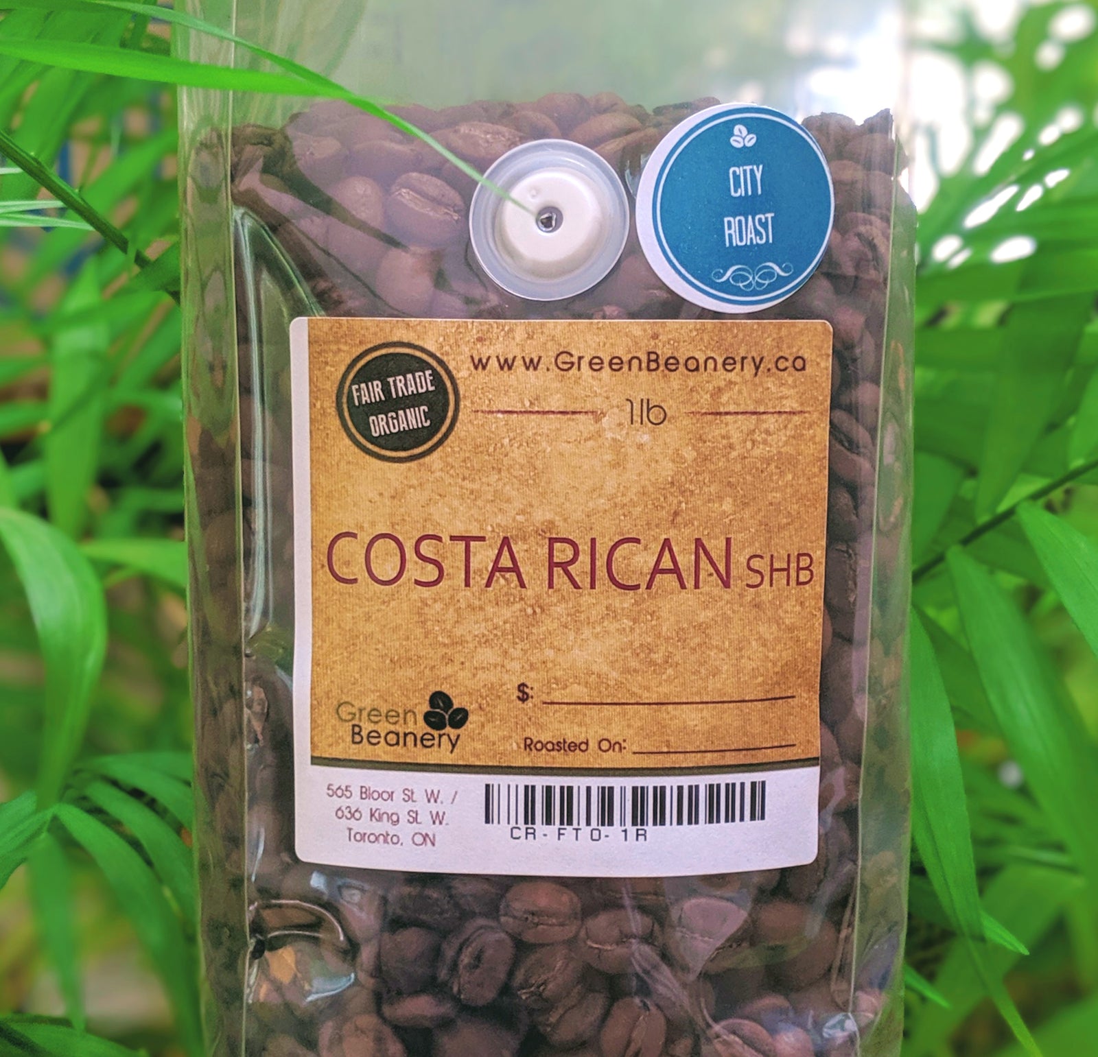 Roasted - Costa Rican Red Honey (Coffee of the Week)