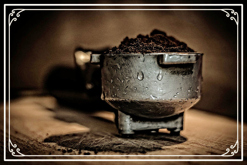 Unroasted - Indian Robusta Parchment Kaapi Royale SC17