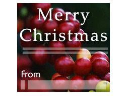 Custom Holiday Labels (12 per Sheet)