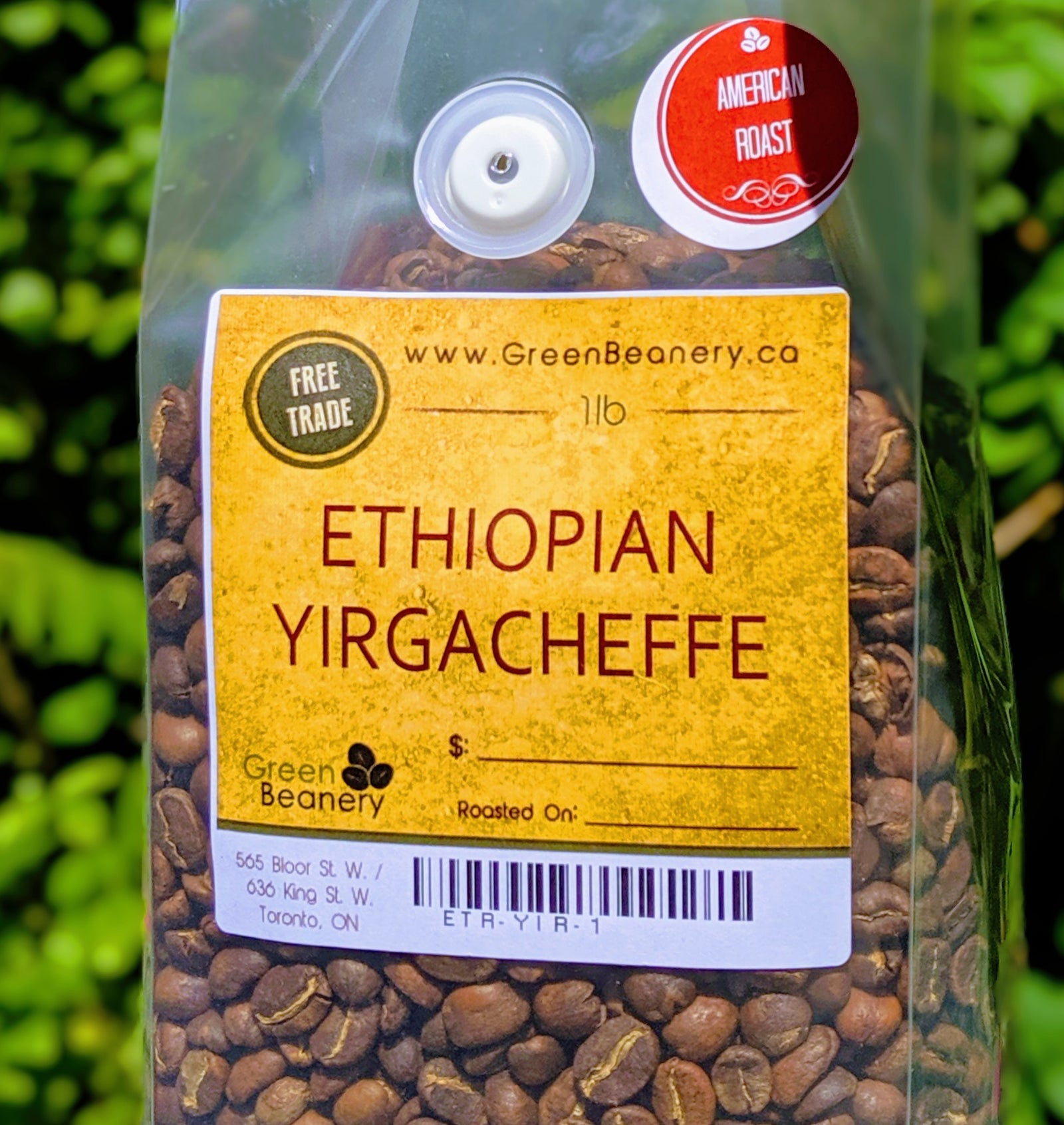 Roasted - Ethiopian Yirgacheffe GR2 (Coffee of the Week)
