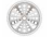 Frieling Spiral Plate (Above Screens) Replacement Part