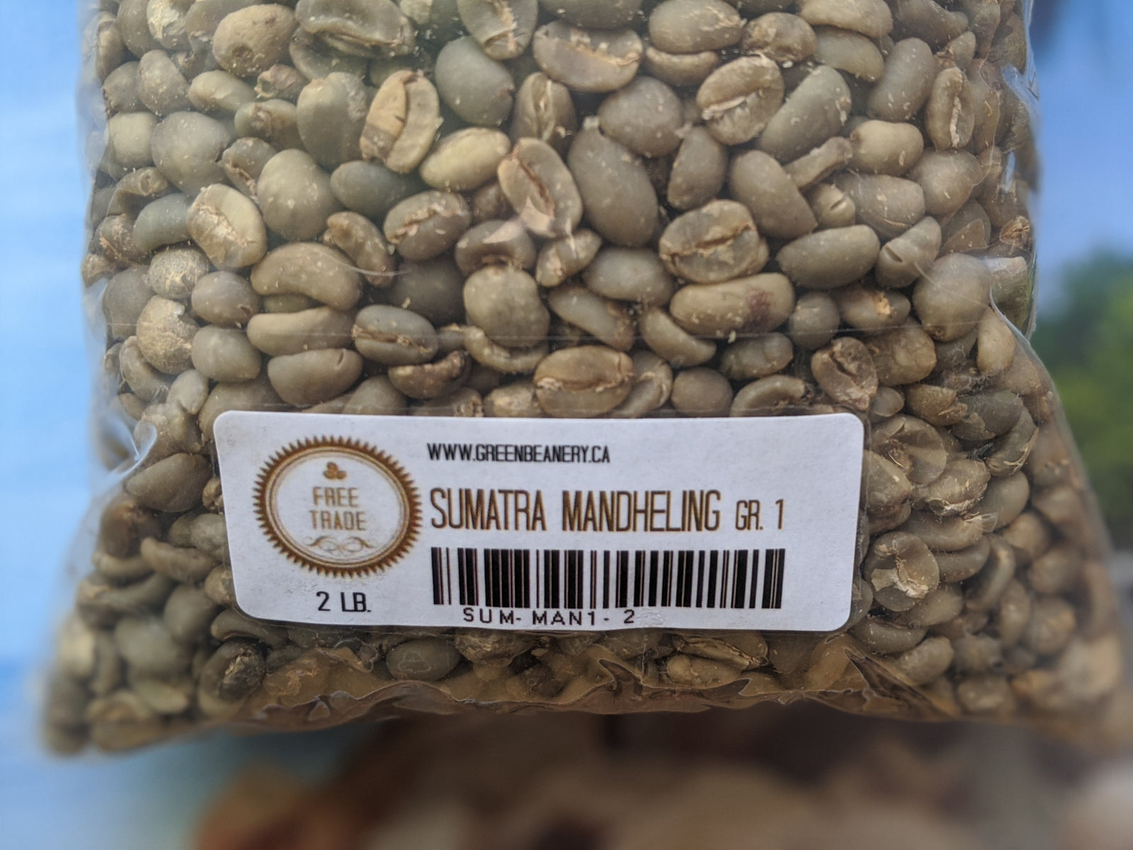 Unroasted - Sumatra Mandheling GR1 (Coffee of the Week)