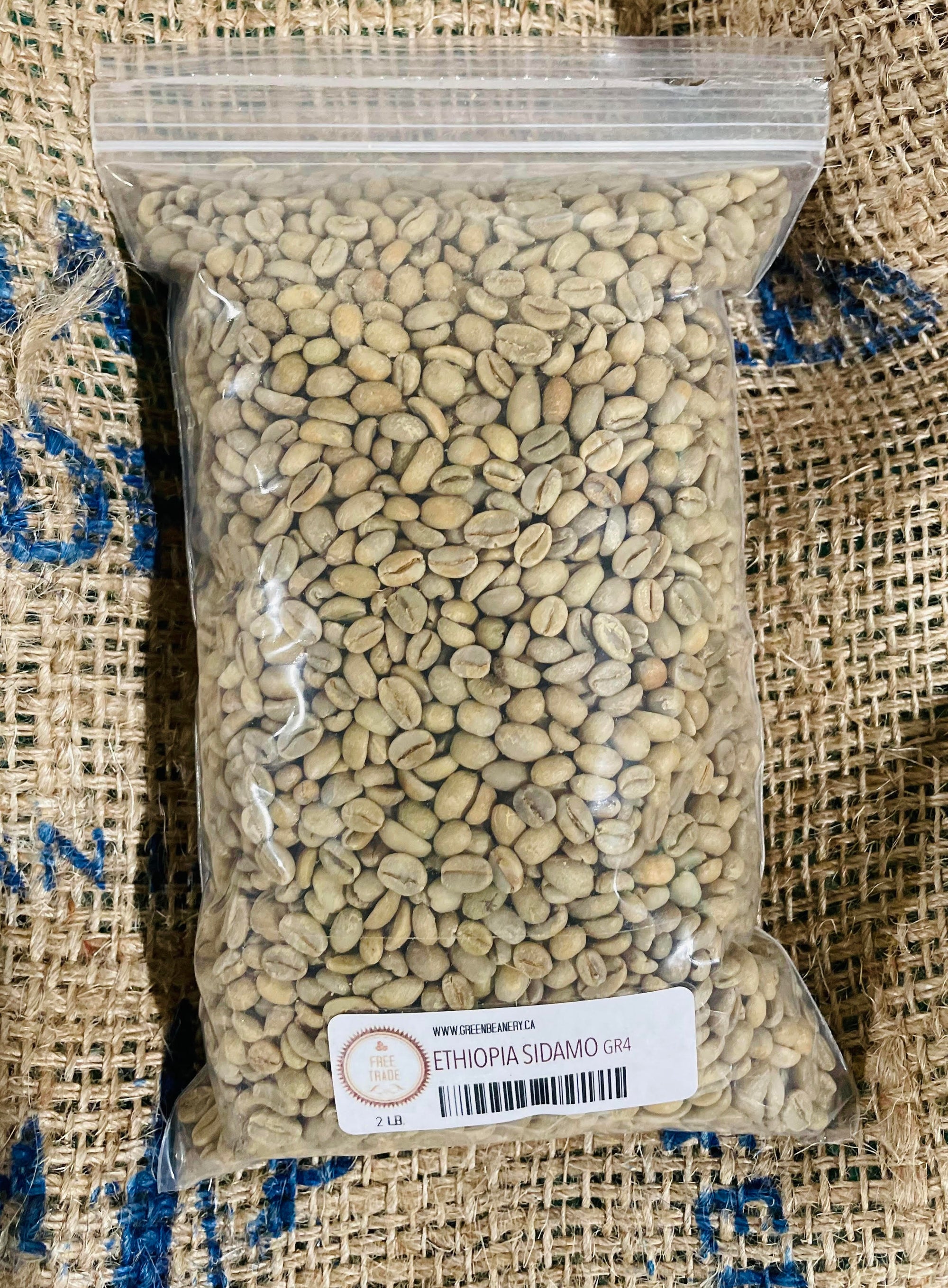 Unroasted - Ethiopian Sidamo (Coffee of the Week)