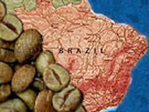 Unroasted - Brazilian Peaberry