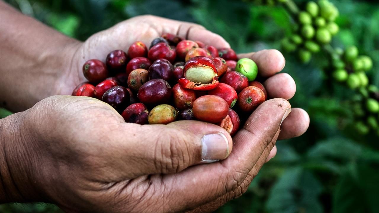 Gift Card for Gift Returns