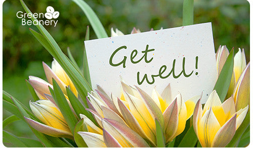 Get Well - Tulips