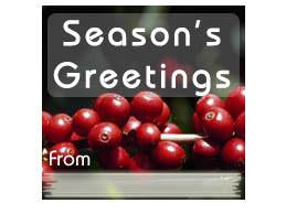 Custom Holiday Labels (12 per Sheet)