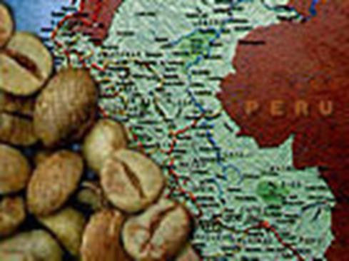 Unroasted - Peru SHB Organic (Coffee of the Week)
