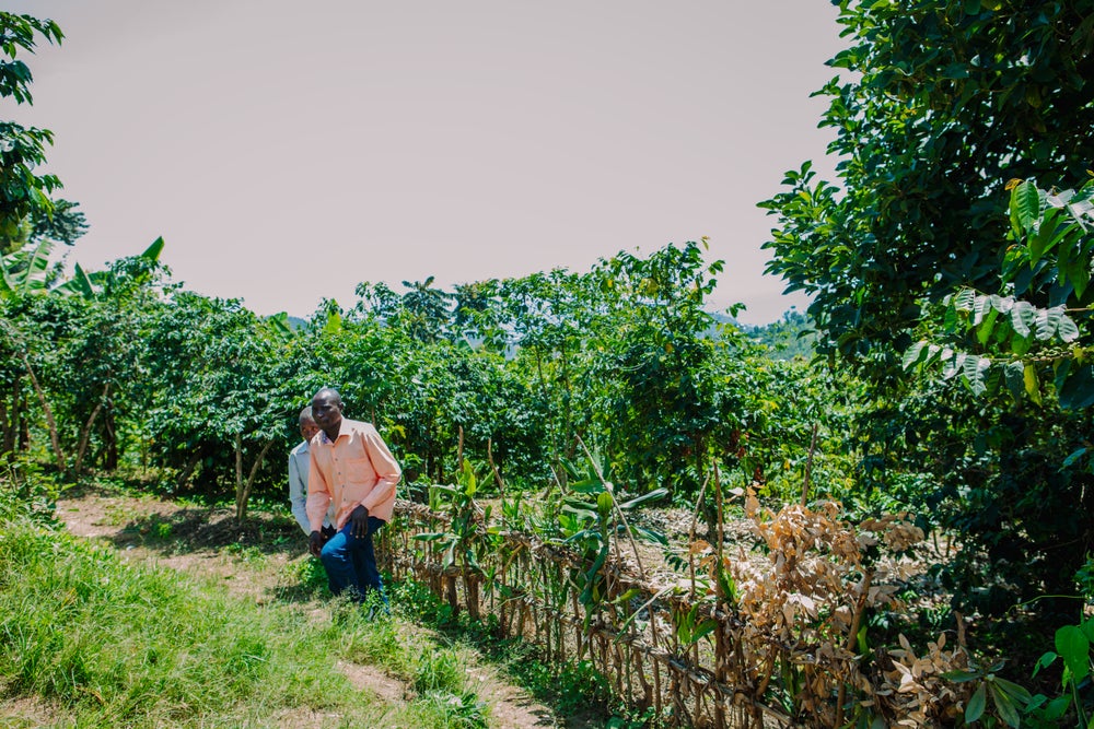 Roasted - Rwanda Nyamyumba FW15+